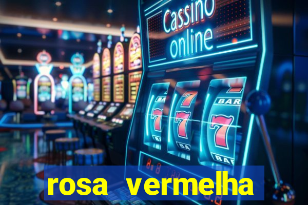 rosa vermelha (letra e cifra)